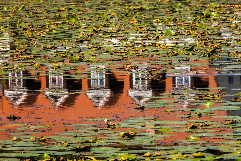 Hotel Prinz Albrecht Neuzelle Buitenkant foto